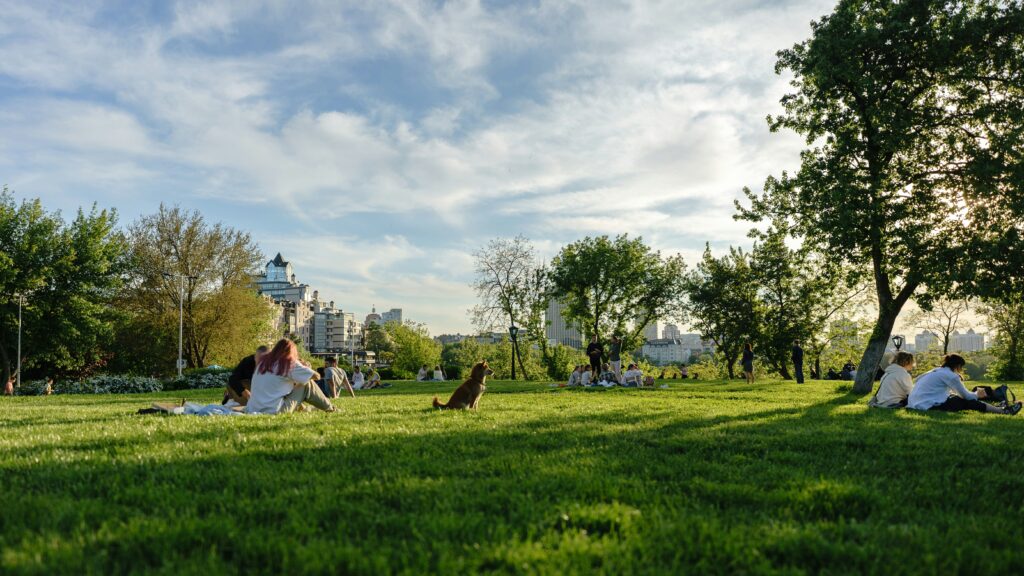 Dogs and people in the Park