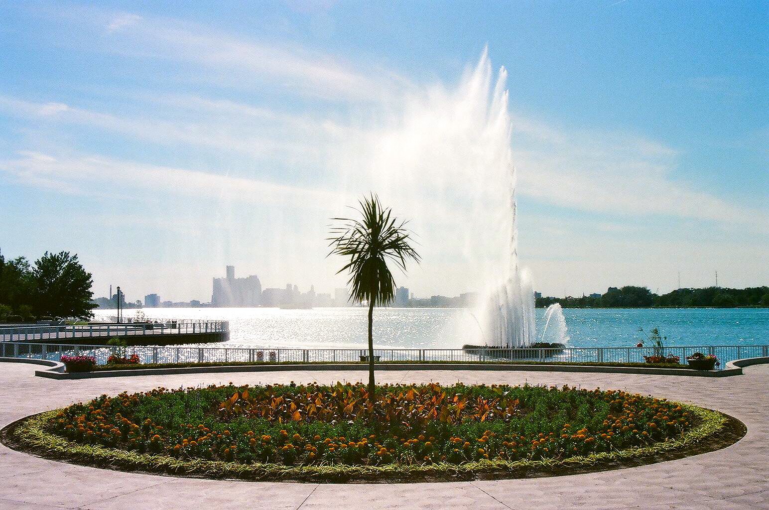 Moving to Windsor Ontario: The relocation Checklist 2025